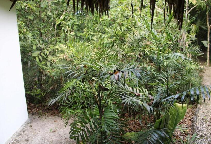 اتاق استاندارد, Posada Del Cerro