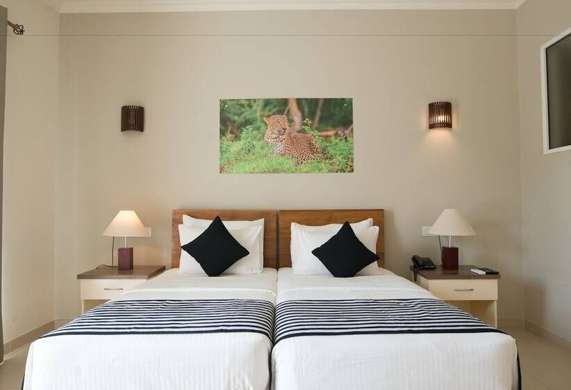 Номер Стандарт, Twenty Two Weligambay