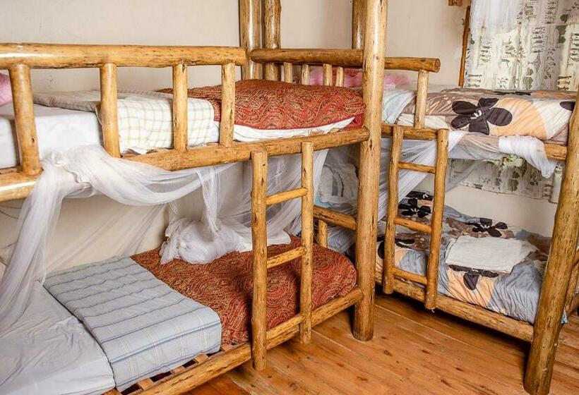 تختخواب در اتاق مشترک, Elite Backpackers Services