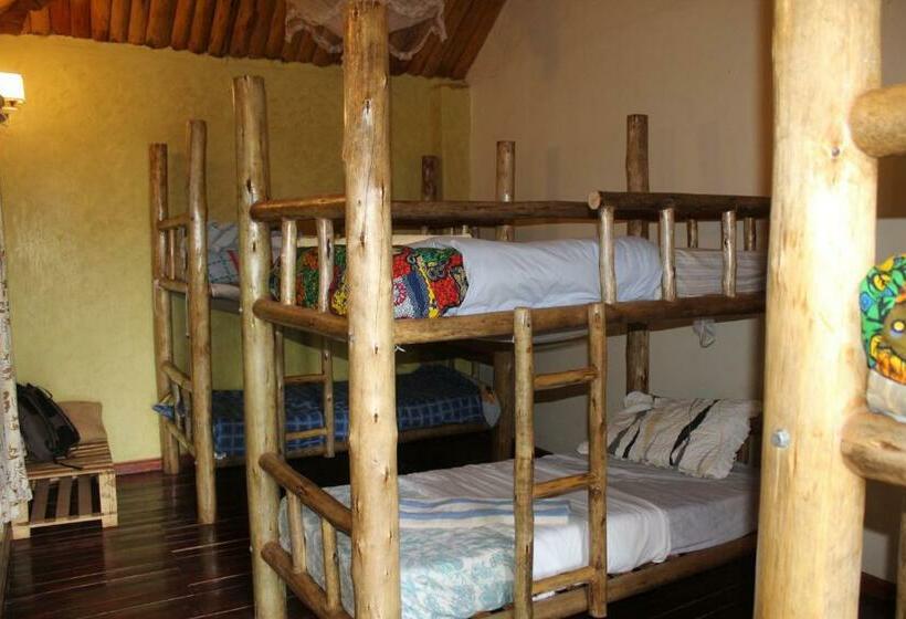 تختخواب در اتاق مشترک, Elite Backpackers Services