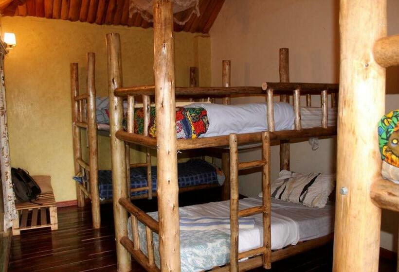 تختخواب در اتاق مشترک, Elite Backpackers Services