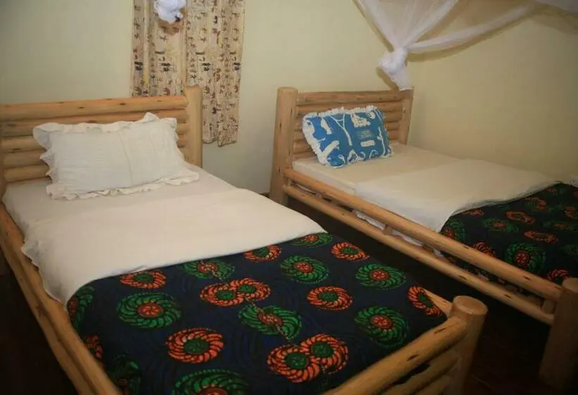 اتاق اکونومی, Elite Backpackers Services