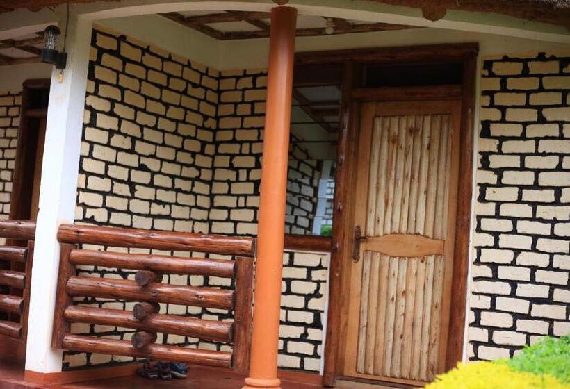 اتاق اکونومی, Elite Backpackers Services