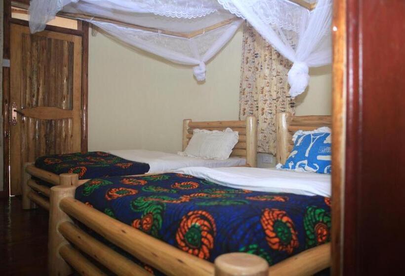 اتاق اکونومی, Elite Backpackers Services