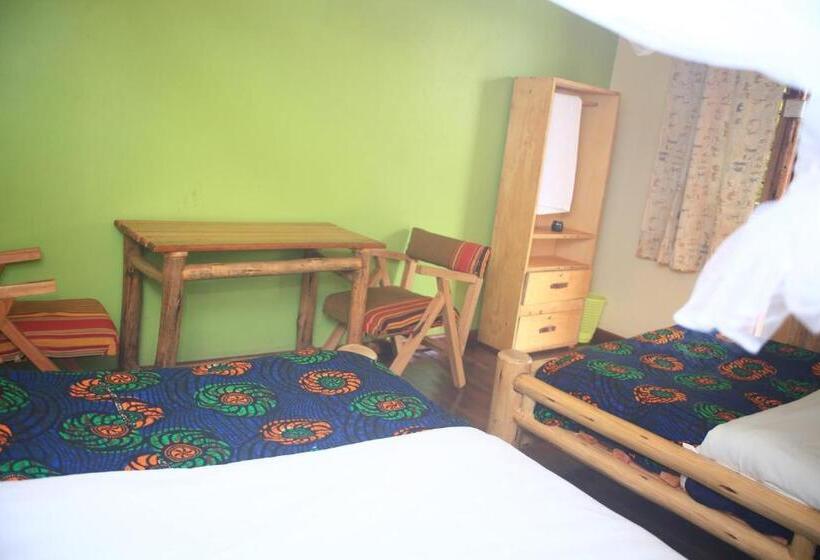 اتاق اکونومی, Elite Backpackers Services
