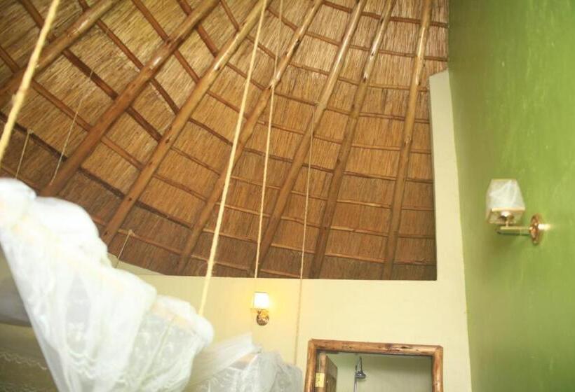 اتاق اکونومی, Elite Backpackers Services