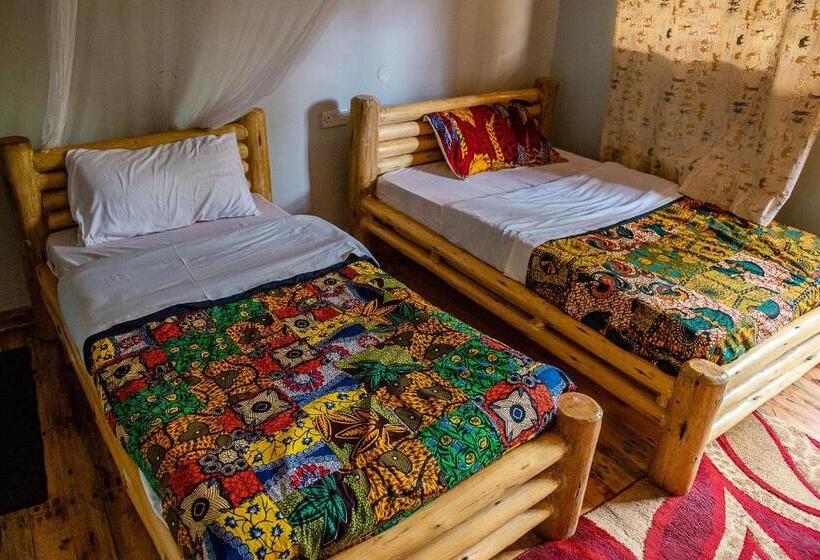 اتاق اکونومی, Elite Backpackers Services