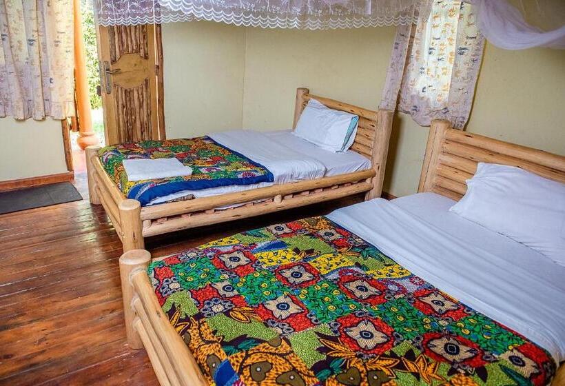 اتاق اکونومی, Elite Backpackers Services
