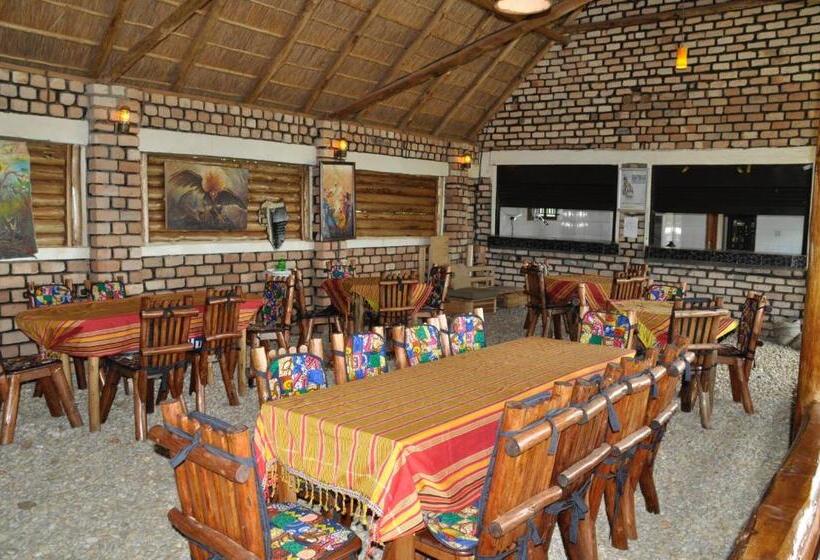 اتاق اکونومی, Elite Backpackers Services