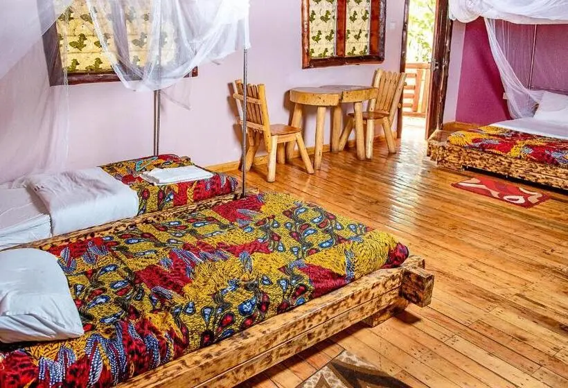 اتاق استاندارد سه تخته با چشمانداز استخر, Elite Backpackers Services