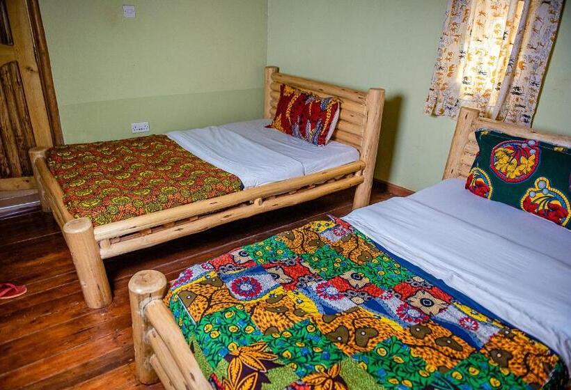 اتاق اکونومی, Elite Backpackers Services