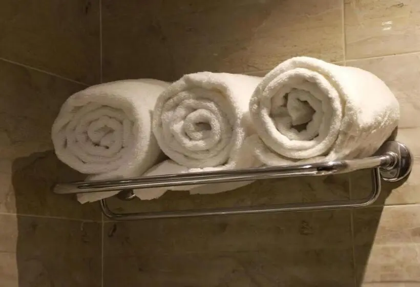اتاق لوکس با تخت بزرگ, The Guard