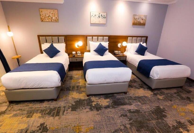 اتاق لوکس سه تخته, The Guard