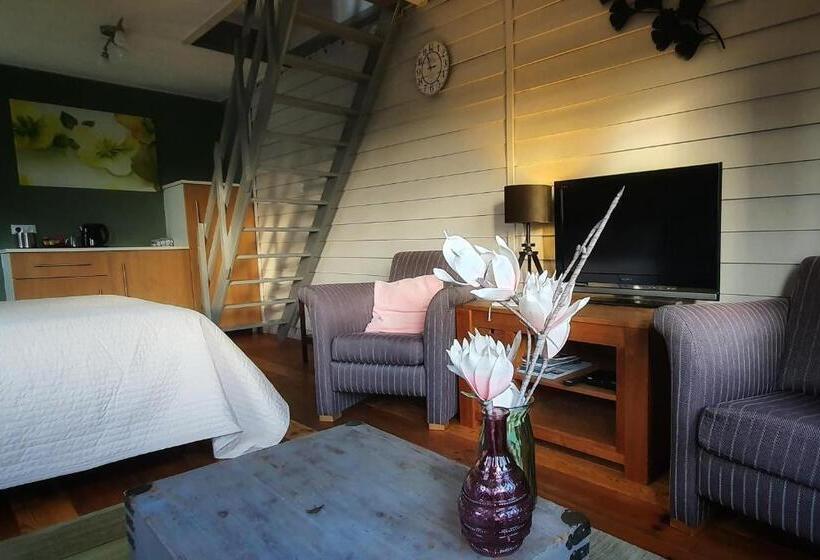 Апартаменты 2 Спальни, B&b It Noflik Stee