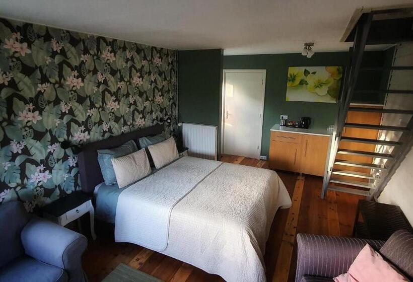 Апартаменты 2 Спальни, B&b It Noflik Stee