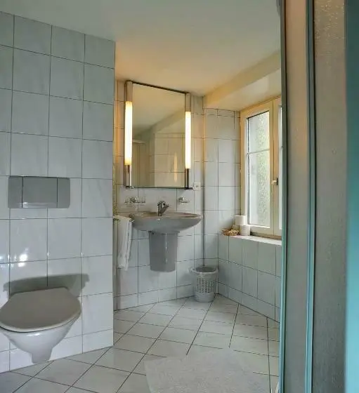 Habitació Deluxe, Freihof