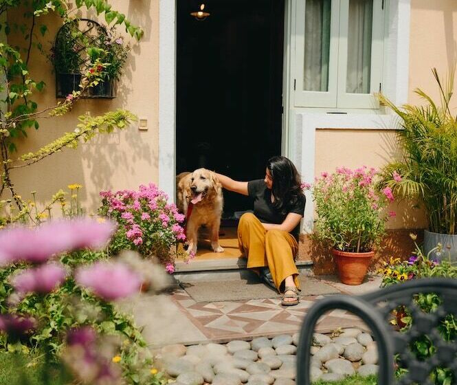 חדר סטודיו סטנדרד, Karma Chalets