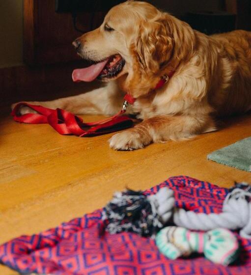 חדר סטודיו סטנדרד, Karma Chalets