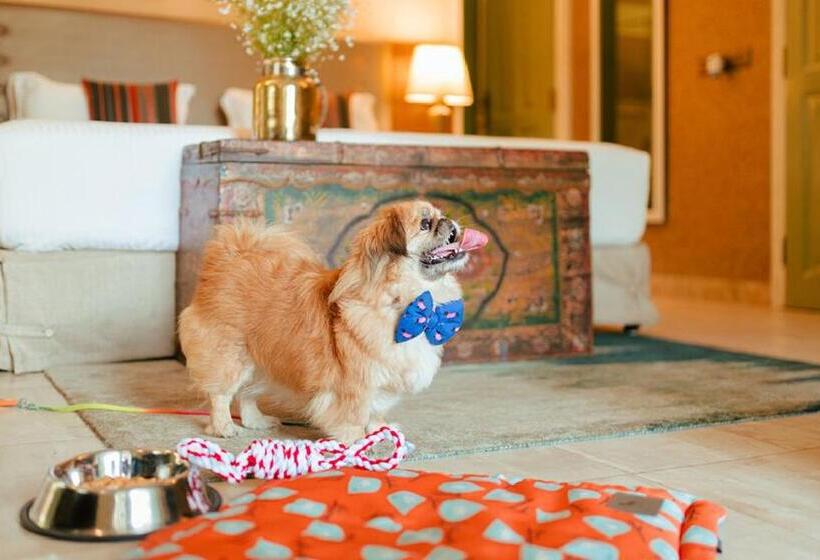 شقة غرفة واحدة, Karma Chalets