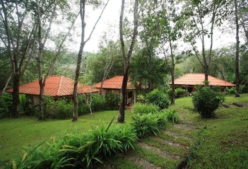 デラックスルーム, Koh Mook Rubber Tree Bungalows