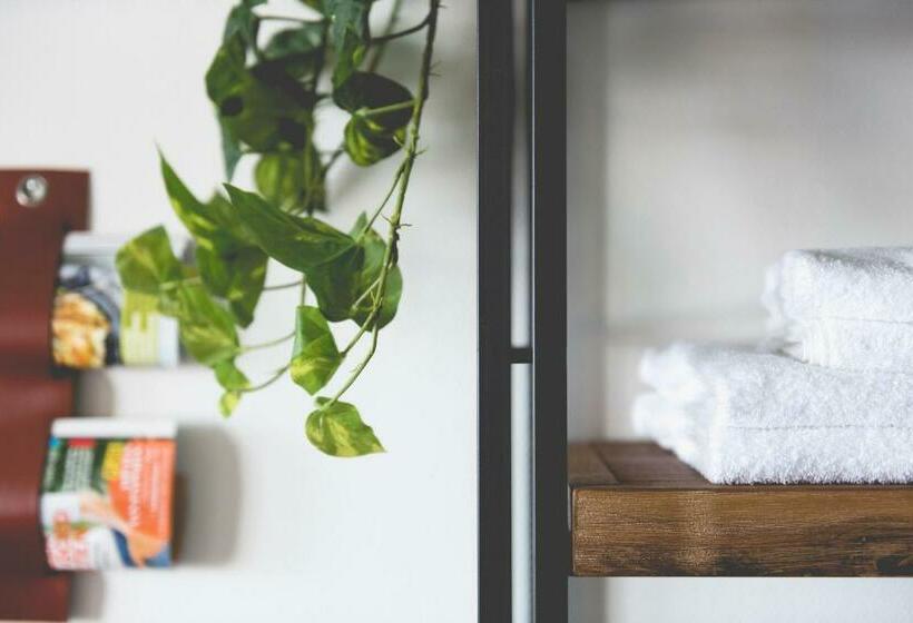 Номер Стандарт, Nimma