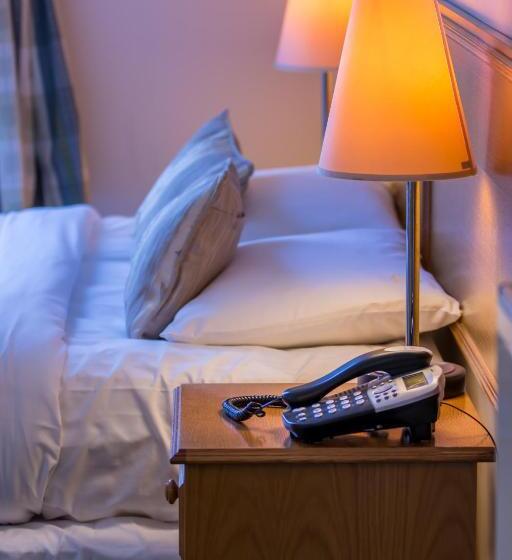 חדר סטנדרט עם מיטת קינג, A Park View