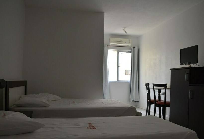 스탠다드 싱글 룸, Arpini