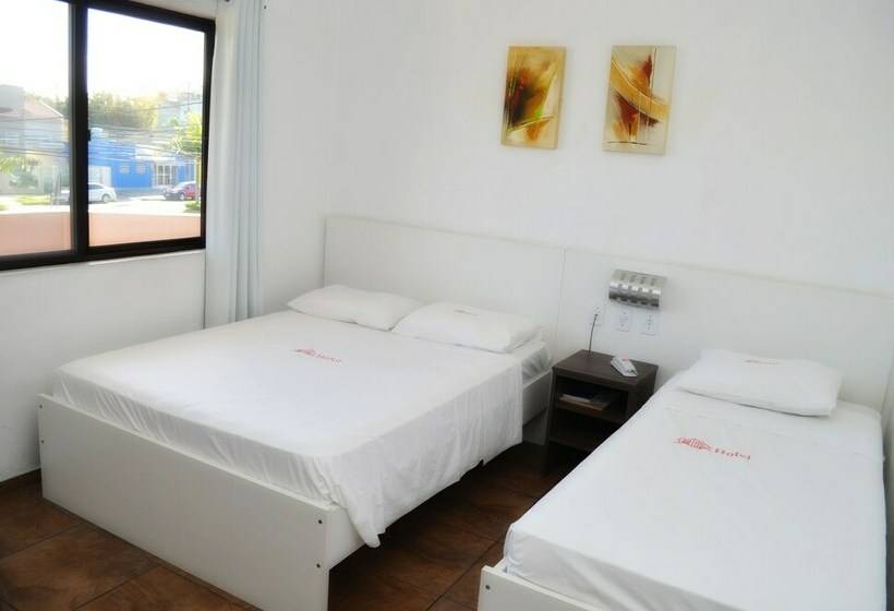 싱글 디럭스 룸, Arpini