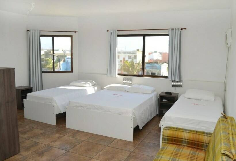 디럭스 룸, Arpini