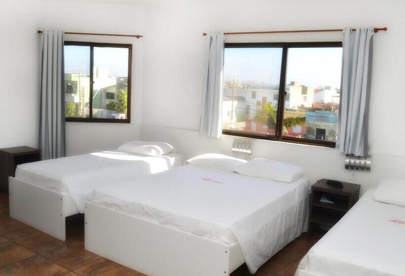 디럭스 4인 룸, Arpini