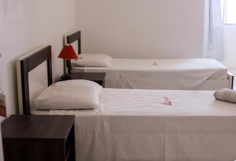 스탠다드 싱글 룸, Arpini