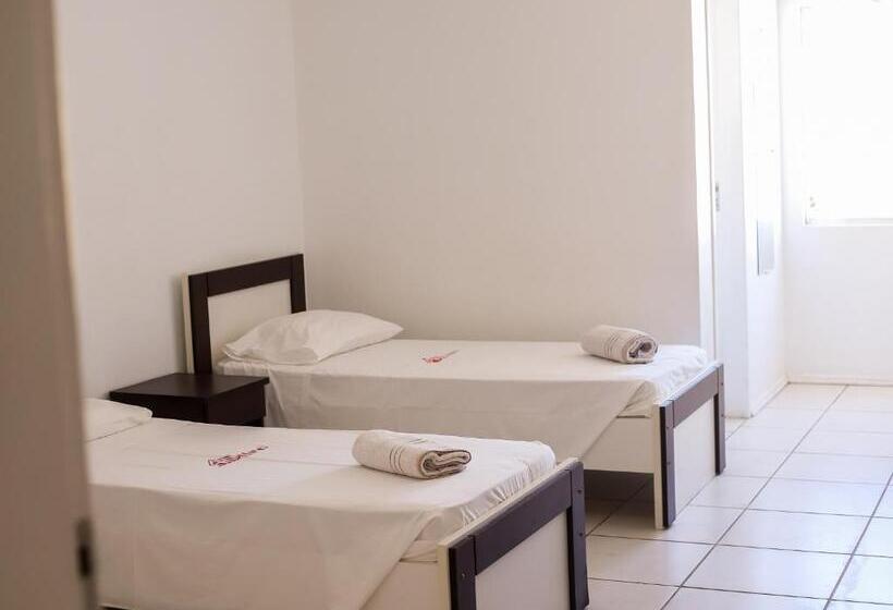 스탠다드 룸, Arpini