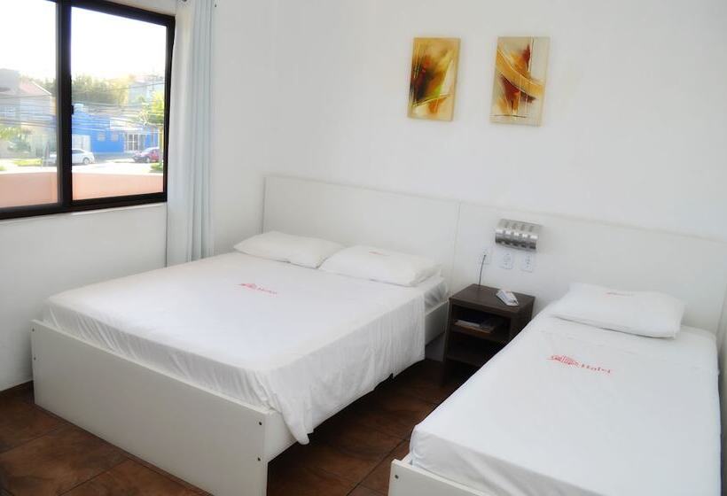 싱글 디럭스 룸, Arpini