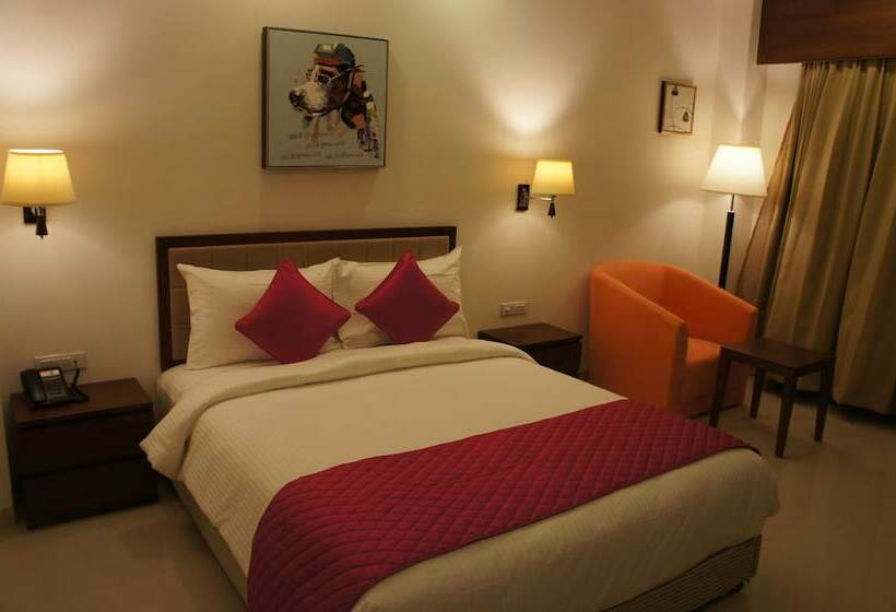 اتاق لوکس, Cygnett Inn Krishna