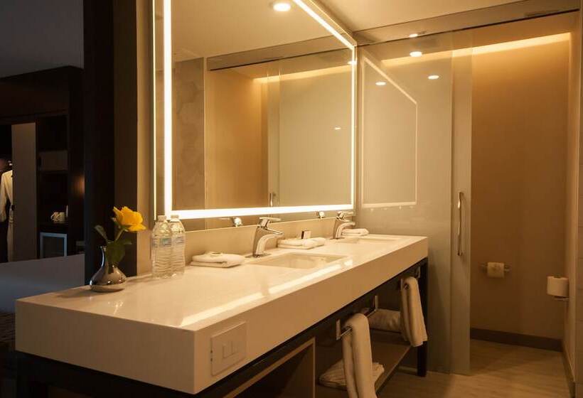 غرفة قياسية, Hyatt Centric Guatemala City