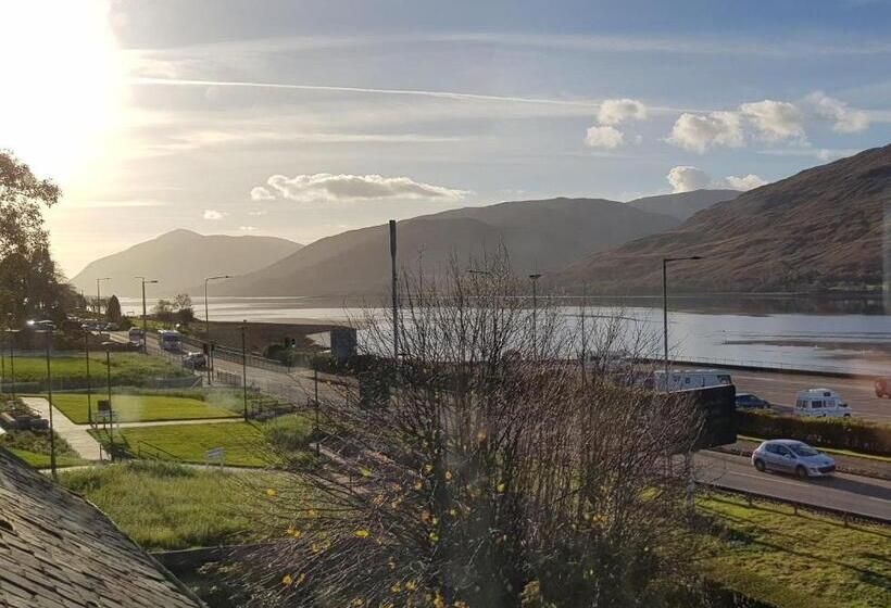 标准间, Lime Tree