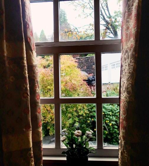 غرفة قياسية, Lime Tree