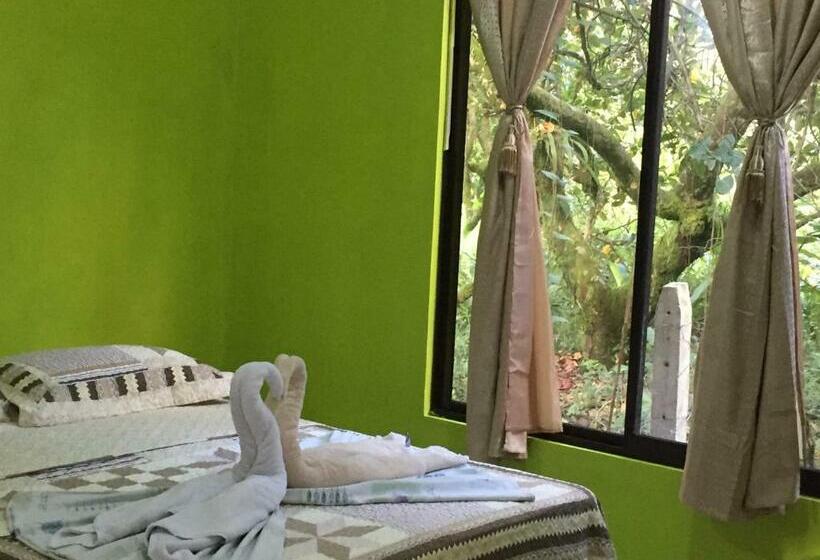 חדר סטנדרט יחיד, Los Amigos Jungle Hotel Tortuguero