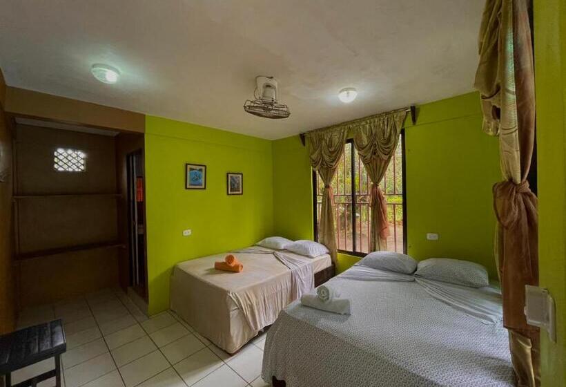 חדר סטנדרט לארבעה, Los Amigos Jungle Hotel Tortuguero