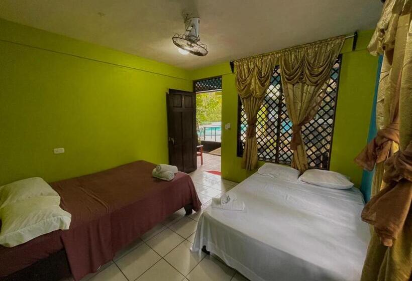 חדר סטנדרט לארבעה, Los Amigos Jungle Hotel Tortuguero