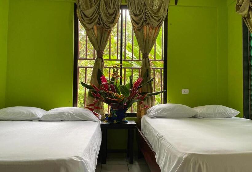 חדר סטנדרט לארבעה, Los Amigos Jungle Hotel Tortuguero