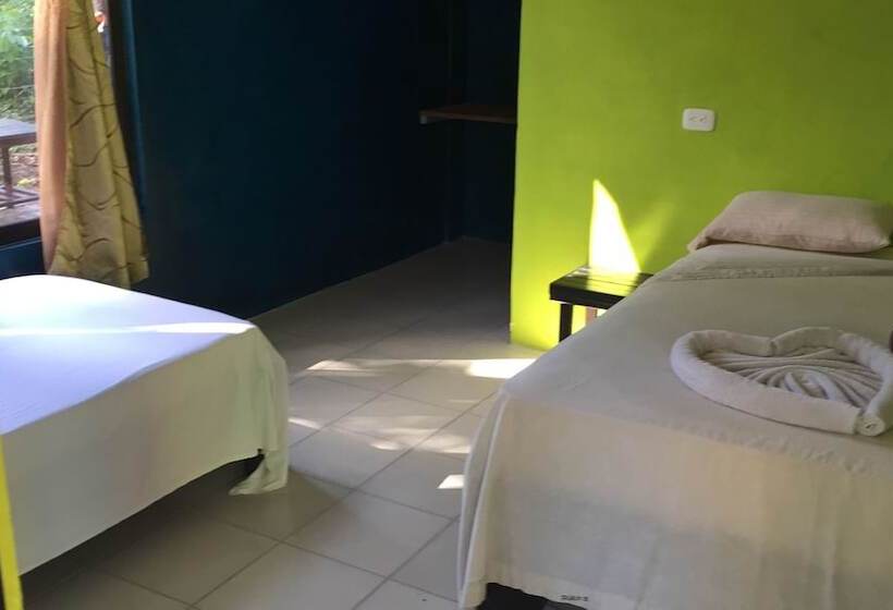 חדר אקונומי, Los Amigos Jungle Hotel Tortuguero