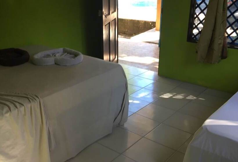 חדר אקונומי, Los Amigos Jungle Hotel Tortuguero