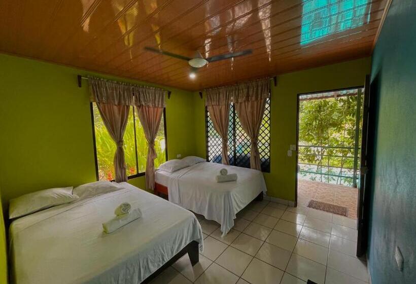 Четырехместный Номер Стандарт, Los Amigos Jungle Hotel Tortuguero