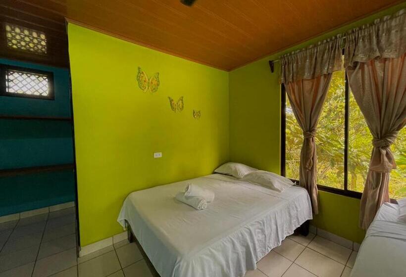 חדר סטנדרט לארבעה, Los Amigos Jungle Hotel Tortuguero