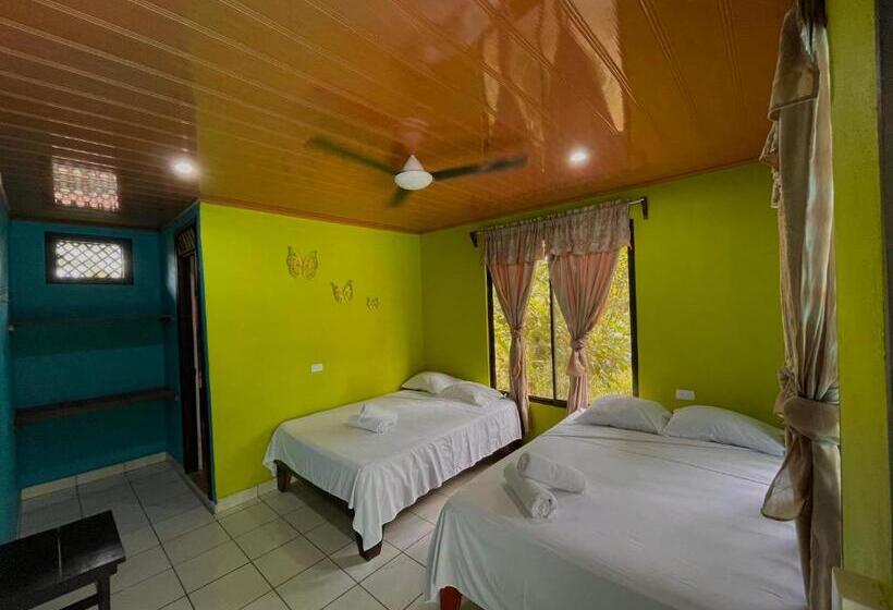 חדר סטנדרט לארבעה, Los Amigos Jungle Hotel Tortuguero