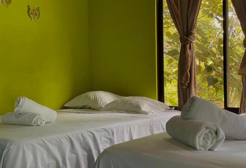 Четырехместный Номер Стандарт, Los Amigos Jungle Hotel Tortuguero
