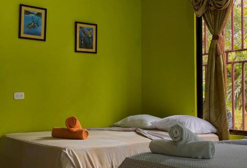 חדר סטנדרט לארבעה, Los Amigos Jungle Hotel Tortuguero