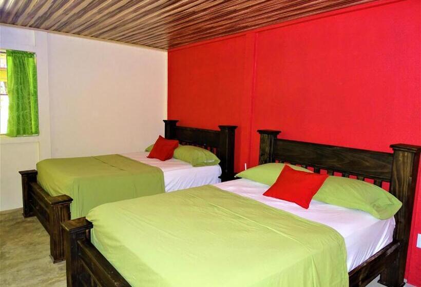 家庭房带园景, Hostel Osa Tucan Drake