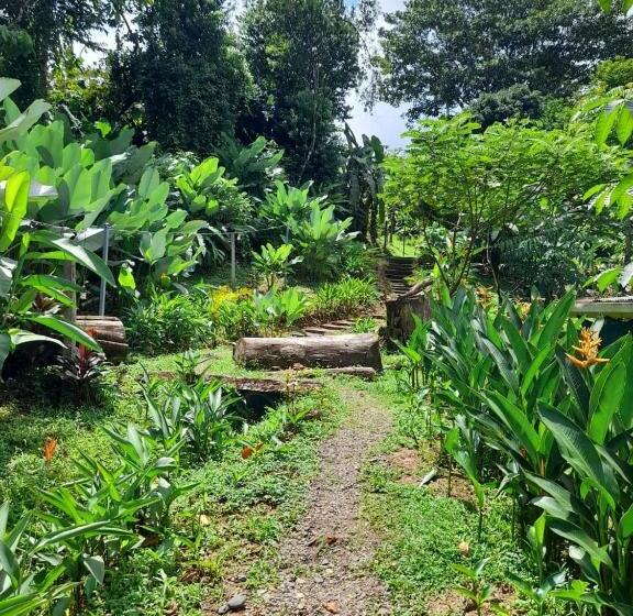 带1个卧室的公寓, Hostel Osa Tucan Drake